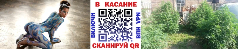 Продажа наркотиков Долгопрудный ГАШИШ МЕФ
