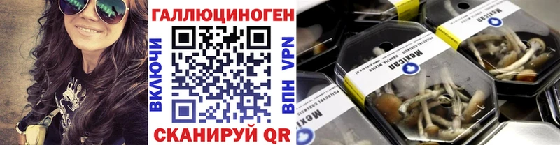 Галлюциногенные грибы ЛСД  Долгопрудный 
