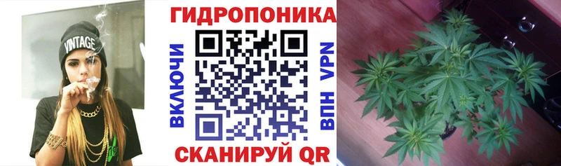 Шишки марихуана OG Kush  купить наркоту  Долгопрудный 